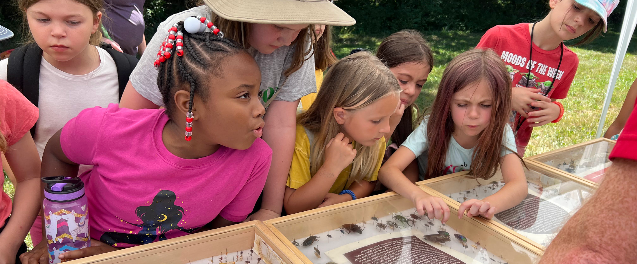 STEM and Outdoor Journeys and badges are here! STEM and Outdoor Journeys and badges are here!