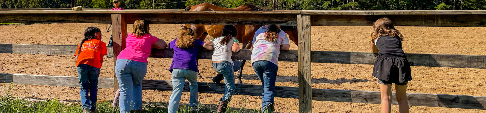  7 girls in a horse arena each standing with a horse 