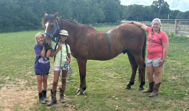 3 girl scouts standing in a field with a horse